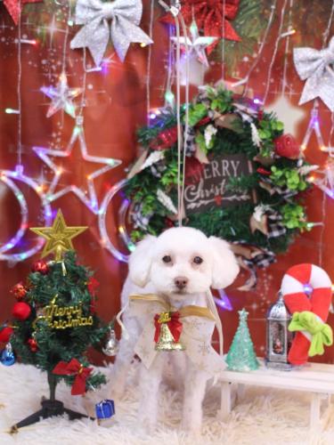 20231221ネネちゃん